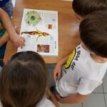 Dzieci oglądają książkę