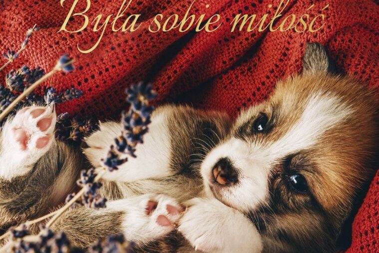 Była sobie miłość. Okładka