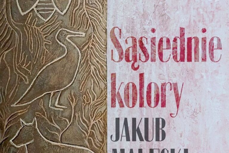 Sąsiednie kolory. Okładka