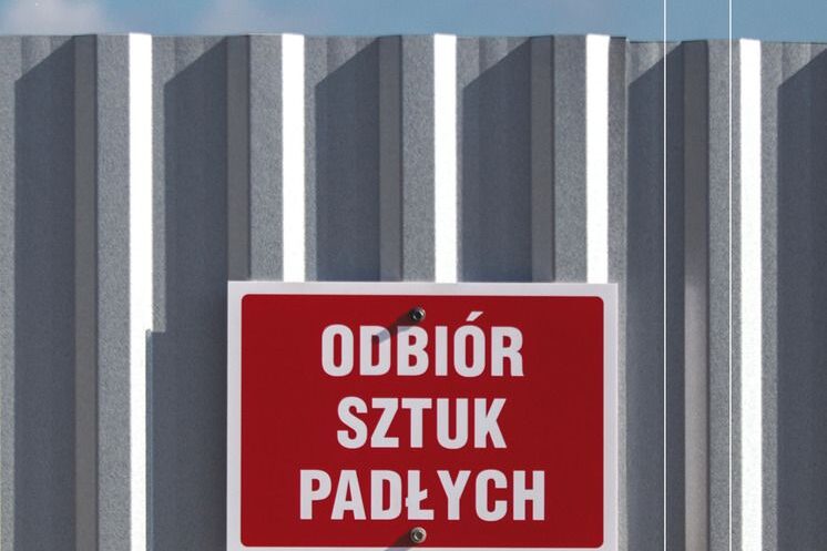 Wędrówka tusz. Okładka