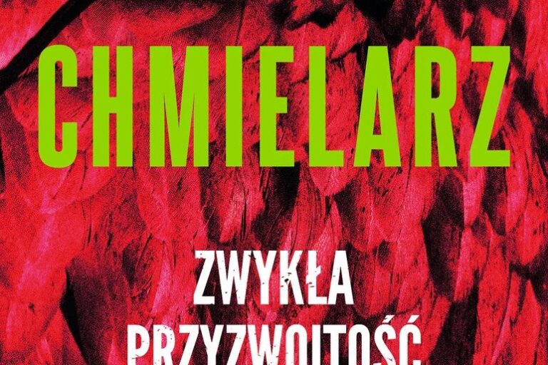 Zwykła przyzwoitość. Okładka