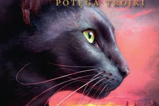 Erin Hunter – Wschód Słońca. Okładka