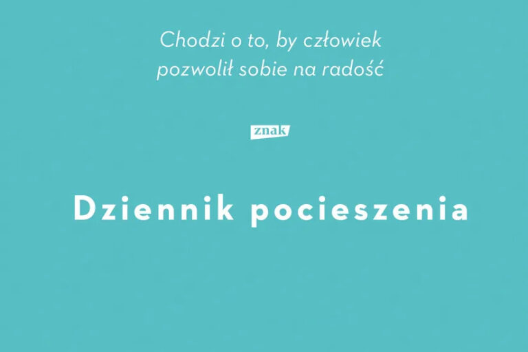 Dziennik pocieszenia. Okładka