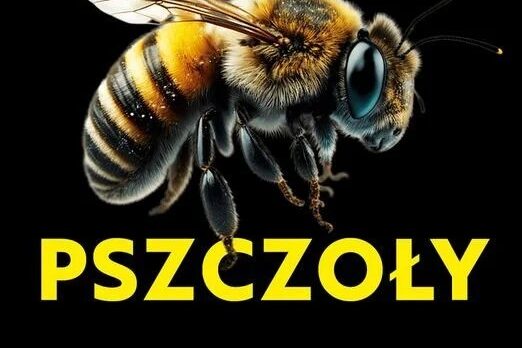 Pszczoły. Krótki lot w głąb niezwykłych umysłów. Okładka