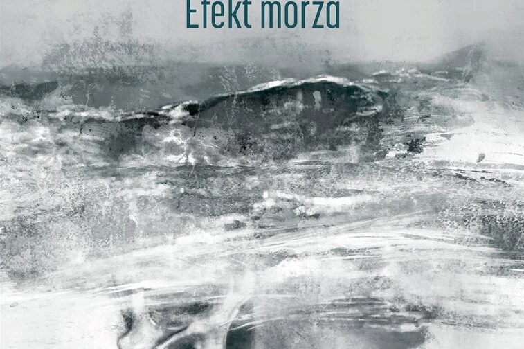 Efekt morza. Okładka