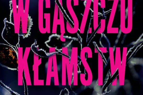 W gąszczu kłamstw. Okładka