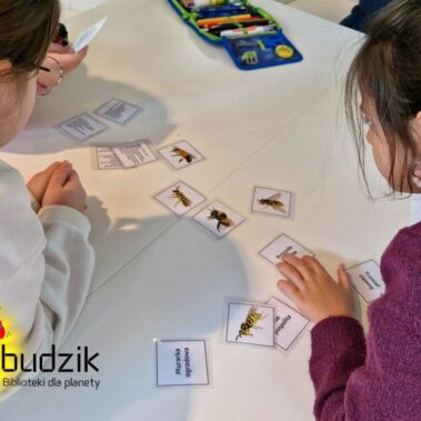 Dzieci wybierają nazwy do różnych pszczół