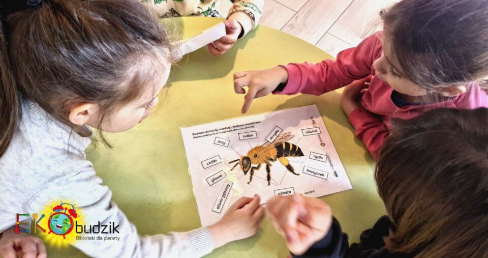 Dziewczynki nazywają części ciałą pszczoły