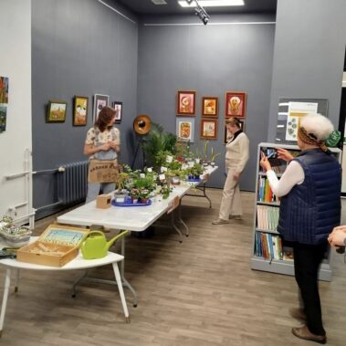 Widok ogólny na roślinodzielnię z uczestniczkami