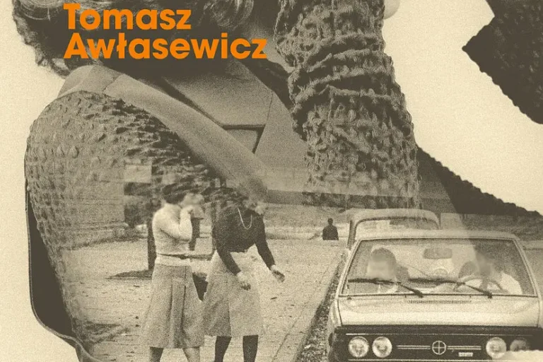 Łowczynie szpiegów. Okładka